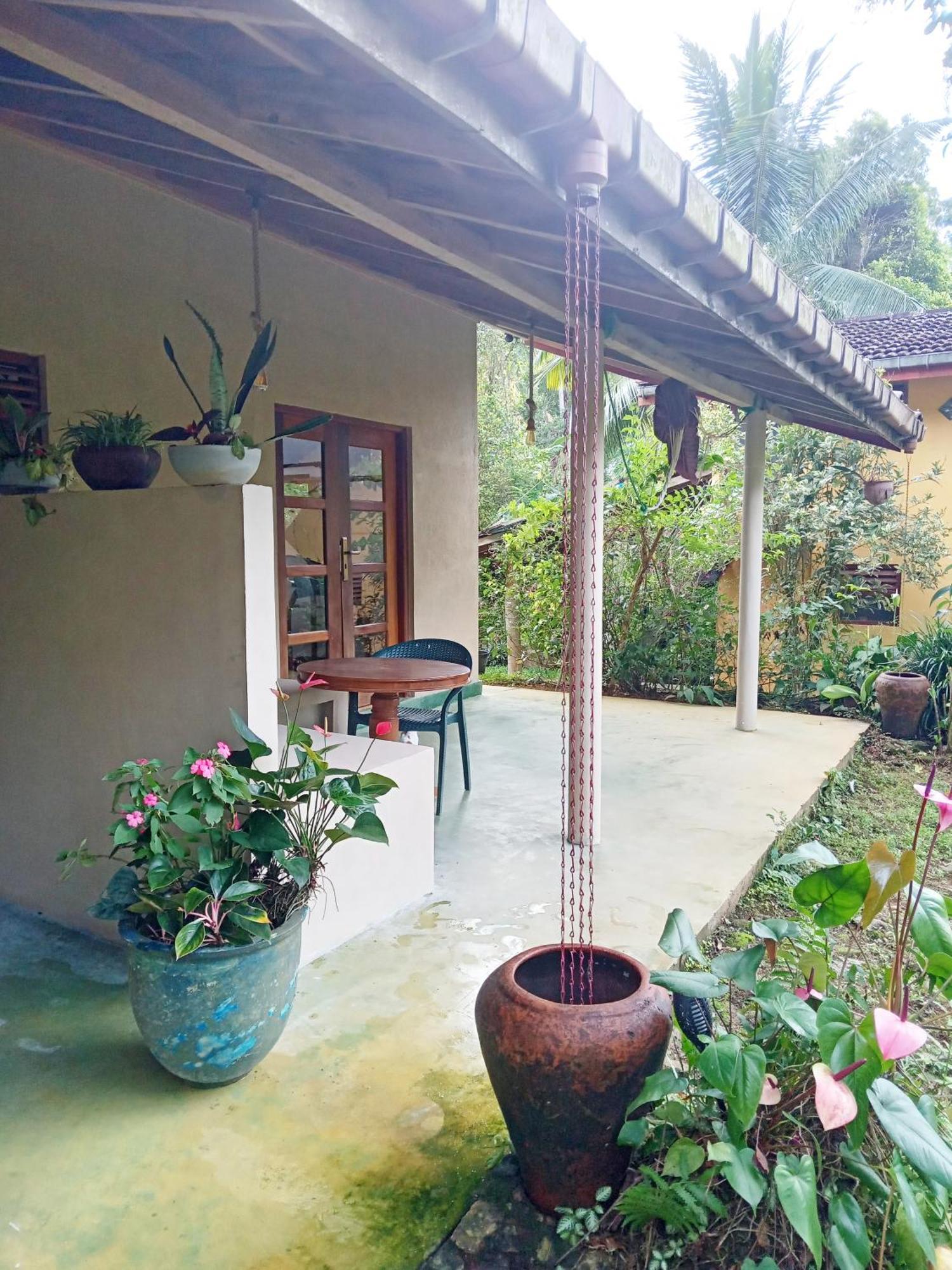 Natural Mystic Sanctuary Deniyaya Buitenkant foto
