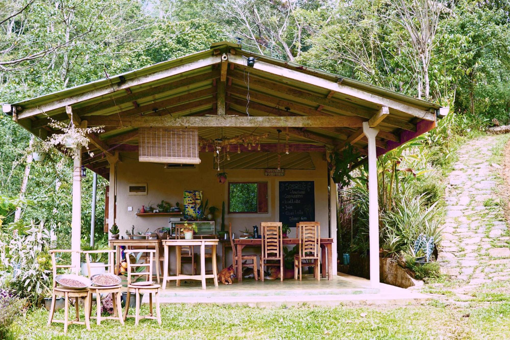 Natural Mystic Sanctuary Deniyaya Buitenkant foto